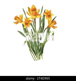 Aquarellflorale Komposition aus Frühlingsblumen. Vorlage für dekorative Elemente. Blumenelemente auf weißem Hintergrund zum Erstellen von Postkarten Stockfoto