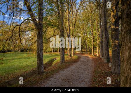 Herbstsonnenuntergang im Park Font dels Sors in Seva (Osona, Barcelona, Katalonien, Spanien) ESP: Atardecer otoñal en el parque de la Font dels Sors, España Stockfoto