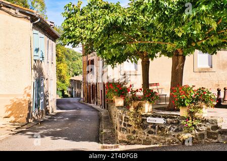 Montferrier Ariege Frankreich 17.10.23 Eine enge Straße in einem französischen Dorf. Zwei Maulbeerbäume auf einer piazza. Steinhäuser mit Fensterläden. Pflanzen Stockfoto