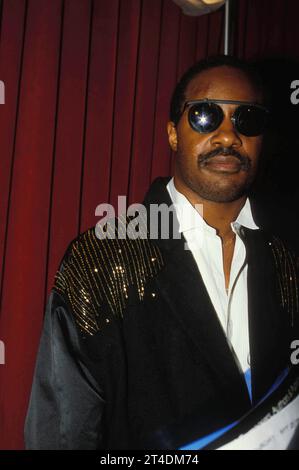 STEVIE WONDER ;Stevland Hardaway Morris, auch bekannt als Stevie Wonder, ist ein US-amerikanischer Singer-Songwriter, Musiker und Plattenproduzent; 1986; Credit: Lynn McAfee / Performing Arts Images www.performingartsimages.com Stockfoto