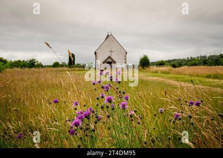 Disteln im Vordergrund der St. Huberts Church, Idsworth, Hampshire, Großbritannien Stockfoto