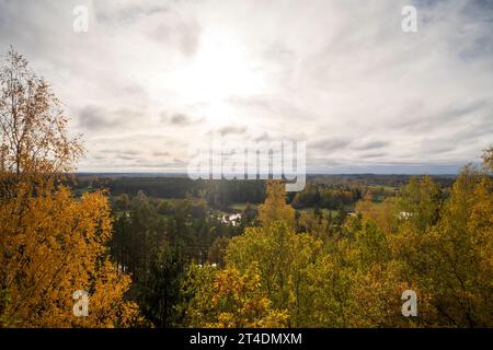 Die Natur Estlands, farbenfroher Laubwald im Herbst, über dem Blick Stockfoto