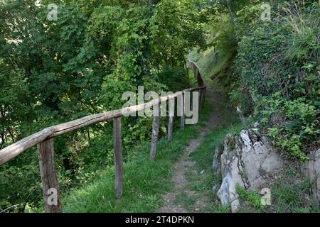 Pfad, Sasso di Castalda, Basilicata, Italien Stockfoto