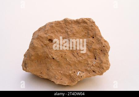 Muststone ist ein feinkörniges Sedimentgestein, das aus Tonmineralen besteht. Probe. Stockfoto