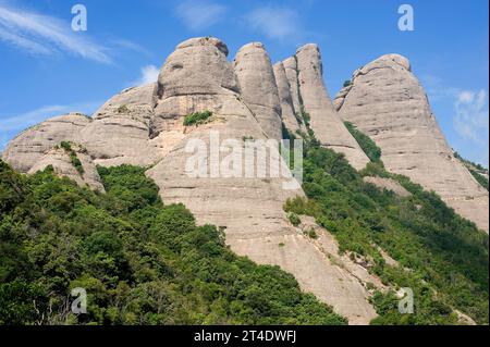 Singuläres Relief aus Konglomeratgestein in Montserrat, Provinz Barcelona, Katalonien, Spanien. Stockfoto