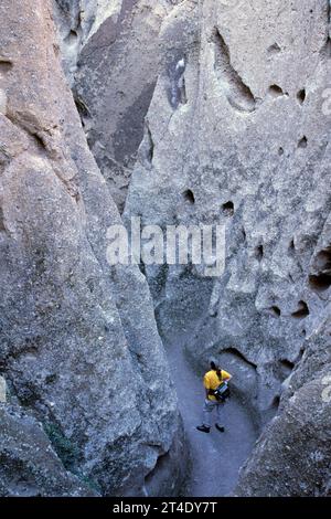 Rings Trail, Mojave National Preserve, Kalifornien Stockfoto