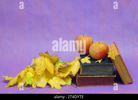 Lesen und Entspannen im Herbst mit Büchern, Äpfeln und Herbstlaub. Herbstbuchmesse, Inspiration, Lesen, Bildung, Literaturkonzept, kostenlose Kopie sp Stockfoto