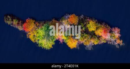 Vermont Fall Colors – aus der Vogelperspektive auf eine kleine Insel, die während der Herbstsaison in einem Teich in VT einen Farbtupfer bietet. Stockfoto