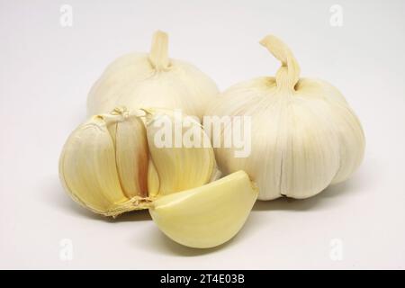 Nahaufnahme von Knoblauchzwiebeln und -Nelken isoliert auf weißem Hintergrund Stockfoto