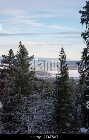 Zauberhafte Winterlandschaft. Schneebedeckte Bäume. Helsinki. Finnland. Fotografiert vor Sonnenuntergang im dezember. Stockfoto