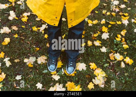 Füße in blauen Jeans und Turnschuhen stehen auf gefallenen gelben Blättern, Blick von oben. Herbst-Saisonkonzept Stockfoto