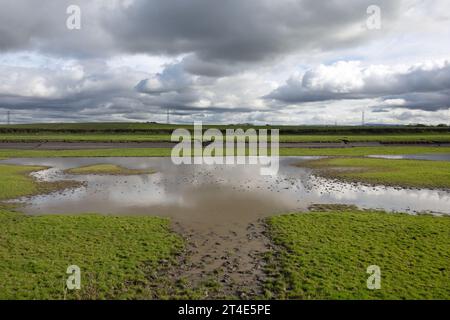 Überfluteter und wasserdurchfluteter Boden Becconsall Out Marsh mit Blick auf den Fluss Douglas bei Hesketh Bank Lancashire England Stockfoto