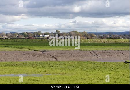 Überfluteter und wasserdurchfluteter Boden Becconsall Out Marsh mit Blick auf den Fluss Douglas bei Hesketh Bank Lancashire England Stockfoto