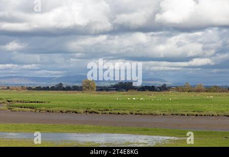 Überfluteter und wasserdurchfluteter Boden Becconsall Out Marsh mit Blick auf den Fluss Douglas bei Hesketh Bank Lancashire England Stockfoto