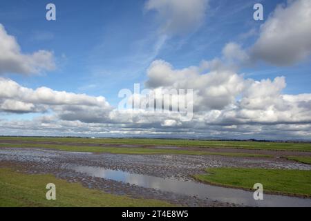 Wassergesäumtes Sumpfgebiet am Fluss Douglas mit Fernsicht auf die Bleasdale Fells Hesketh Bank Lancashire England Stockfoto