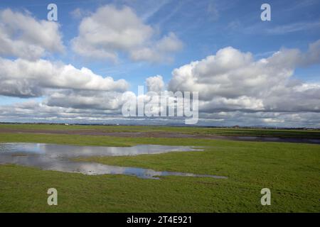 Wassergesäumtes Sumpfgebiet am Fluss Douglas mit Fernsicht auf die Bleasdale Fells Hesketh Bank Lancashire England Stockfoto