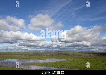 Wassergesäumtes Sumpfgebiet am Fluss Douglas mit Fernsicht auf die Bleasdale Fells Hesketh Bank Lancashire England Stockfoto