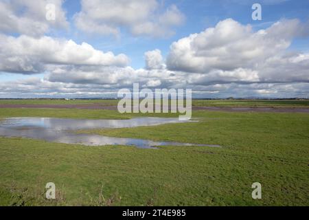 Wassergesäumtes Sumpfgebiet am Fluss Douglas mit Fernsicht auf die Bleasdale Fells Hesketh Bank Lancashire England Stockfoto