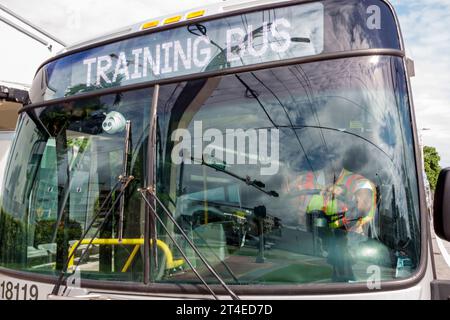 Miami Beach Florida, Collins Avenue, Miami-Dade Metrobus, öffentliche Busse, Fahrertraining Festzelt Botschaft, weibliche Frauen, Erwachsene, Residen Stockfoto