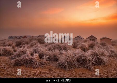 Gefrorenes Gras bei Sonnenaufgang, am Strand von Southwold, Suffolk England, Großbritannien Stockfoto