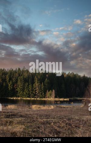 Gribskov in Dänemark bei Kagerup im Winter 2019 Stockfoto