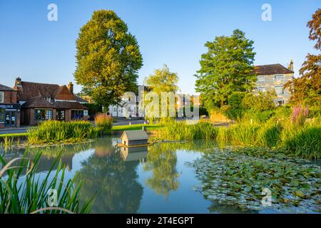 Der gelistete Ententeich am Kreisverkehr in Otford Kent. Stockfoto