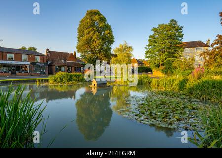 Der gelistete Ententeich am Kreisverkehr in Otford Kent. Stockfoto