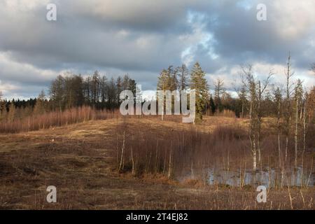 Gribskov in Dänemark bei Kagerup im Winter 2019 Stockfoto