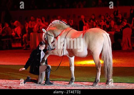 Moskau, Russland - 15.10.2023: Die internationale Ausstellung «equine Russia — 2023» in einem der größten europäischen Reitzentren Maxima Park. Stockfoto