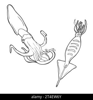 Line Art Squid. Menüdesign, Logo-Design. Unterwassertier kritzeln. Stock Vektor