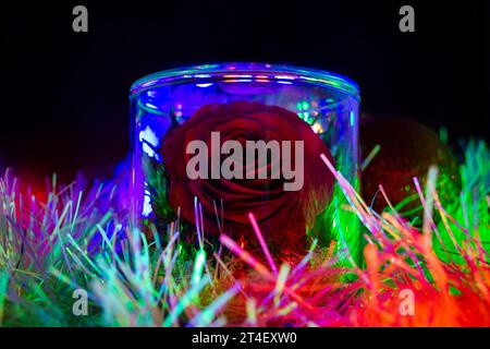 Eine Rose im Glas steht in Silvester Lametta und wird von bunten Lichtern von Girlanden beleuchtet Stockfoto