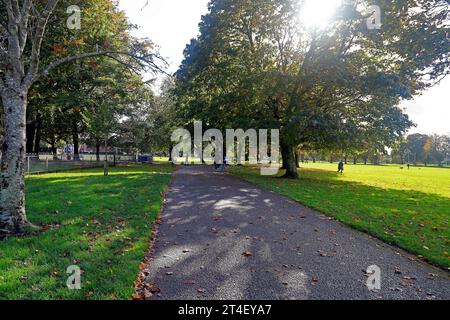 Frühherbst in Llandaff Fields, Cardiff. Vom Oktober 2023 Stockfoto