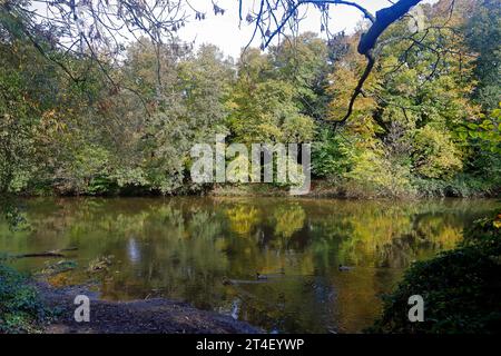 River Taff, direkt flussaufwärts von Blackweir Footbridge, Cardiff. Vom Oktober 2023. Frühherbst. Stockfoto