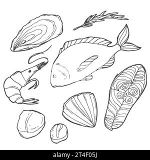 Handgezeichnetes Meeresfrüchte-Set. Dekorative Ikonen Tintenfisch, Tintenfisch, Lachs, Austern, Jakobsmuscheln, Hummer, roter Barsch, Krebse Muscheln und Muscheln Vektor-Illustration Stock Vektor