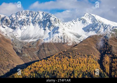 Malerischer Herbstblick mit schneebedeckten Bergen und goldenen Lärchen in der Nähe von Davos, Schweiz Stockfoto