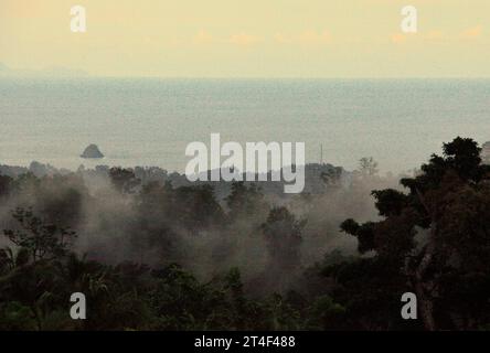 Regenwaldlandschaft am Fuße des Mount Tangkoko und Duasudara (Dua Saudara) in Nord-Sulawesi, Indonesien. Laut einem neuen Bericht der Wildlife Conservation Society werden tropische Wälder mit hoher Integrität schätzungsweise rund 3,6 Milliarden Tonnen CO2 pro Jahr (netto) aus der Atmosphäre entfernen und speichern. Der Wald und die Tierarten, die ihn unterstützen, sind jedoch bedroht. „Zwischen 2012 und 2020 stiegen die Temperaturen im Wald um bis zu 0,2 Grad Celsius pro Jahr an, und der Fruchtreichtum insgesamt ging um 1 Prozent pro Jahr zurück“, schrieb ein Team von Wissenschaftlern unter der Leitung von Marine Joly. Stockfoto