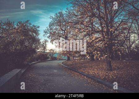 Herbstzeit in Letna Parks mit bunten Bäumen, Prag, Tschechische Republik Stockfoto