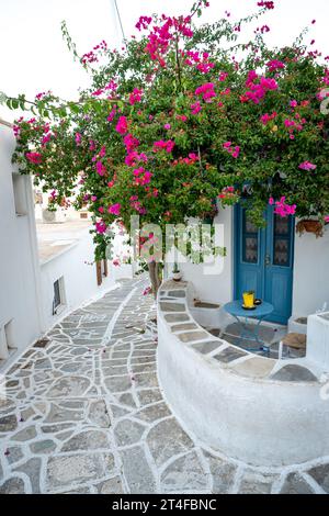 Bougainvillea in den Straßen von Lefkes, Paros Stockfoto