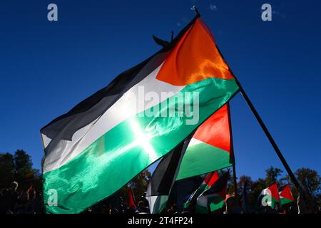 In Montreal, Kanada, vereinigten sich eine Vielzahl von Demonstranten in Solidarität mit den Palästinensern und forderten inbrünstig einen dringenden Waffenstillstand in Gaza am 28. Oktober 2023 Stockfoto