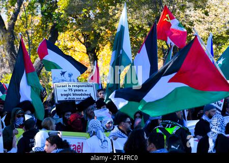 In Montreal, Kanada, vereinigten sich eine Vielzahl von Demonstranten in Solidarität mit den Palästinensern und forderten inbrünstig einen dringenden Waffenstillstand in Gaza am 28. Oktober 2023 Stockfoto