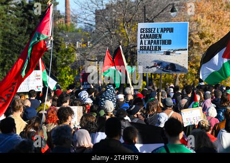 In Montreal, Kanada, vereinigten sich eine Vielzahl von Demonstranten in Solidarität mit den Palästinensern und forderten inbrünstig einen dringenden Waffenstillstand in Gaza am 28. Oktober 2023 Stockfoto