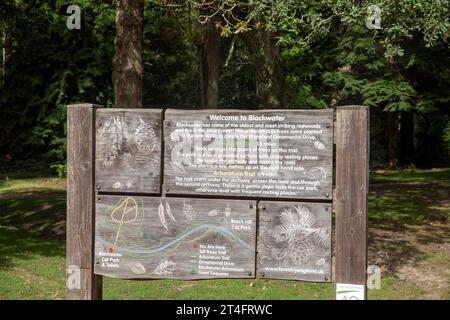 Blackwater, New Forest Hampshire, und Schild für Tall Trees Trail und Riesen Redwood Trees, England, UK, 2023 Stockfoto