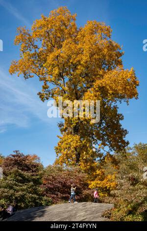 Der Central Park in New York City ist während der Herbstsaison 2023, USA, wunderschön Stockfoto
