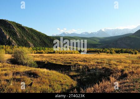 Das gewundene Flussbett eines trockenen Flusses fließt im Frühherbst durch ein malerisches Herbsttal am Fuße hoher Berge. Kurai Steppe, Altai, Sibirien, Stockfoto