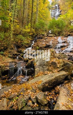 Amicalola Falls im Amicalola Falls State Park mit gefallenen Blättern und Herbstlaub in Dawsonville, Georgia. (USA) Stockfoto