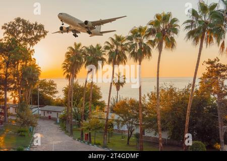 Sonnenuntergang am tropischen Strand mit Kokospalmen während der Landung des Flugzeugs. Stockfoto