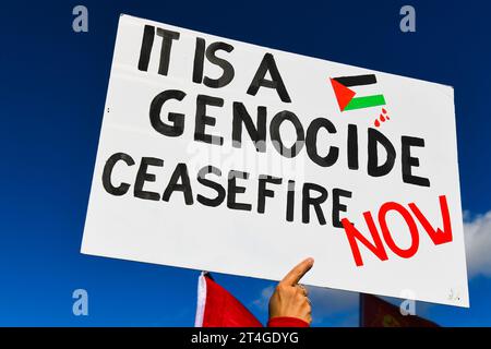 Plakat "Waffenstillstand jetzt" bei einer Solidaritätsdemonstration mit Palästinensern, in der ein dringender Waffenstillstand in Gaza am 28. Oktober 2023 gefordert wird Stockfoto