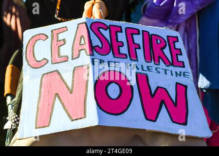 Plakat "Waffenstillstand jetzt" bei einer Solidaritätsdemonstration mit Palästinensern, in der ein dringender Waffenstillstand in Gaza am 28. Oktober 2023 gefordert wird Stockfoto