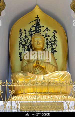 Nahaufnahme des sitzenden Buddha-Bildes in Predigungsposition mit Dharmachakra Mudra in der Shanti Peace Pagoda, Pokhara, Nepal Stockfoto