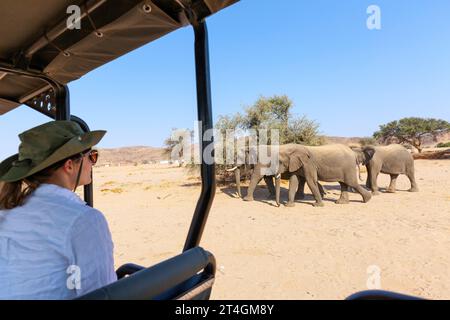 Rückansicht eines Mädchens auf Safari in Afrika, das Elefanten vom offenen Fahrzeug aus beobachtet Stockfoto